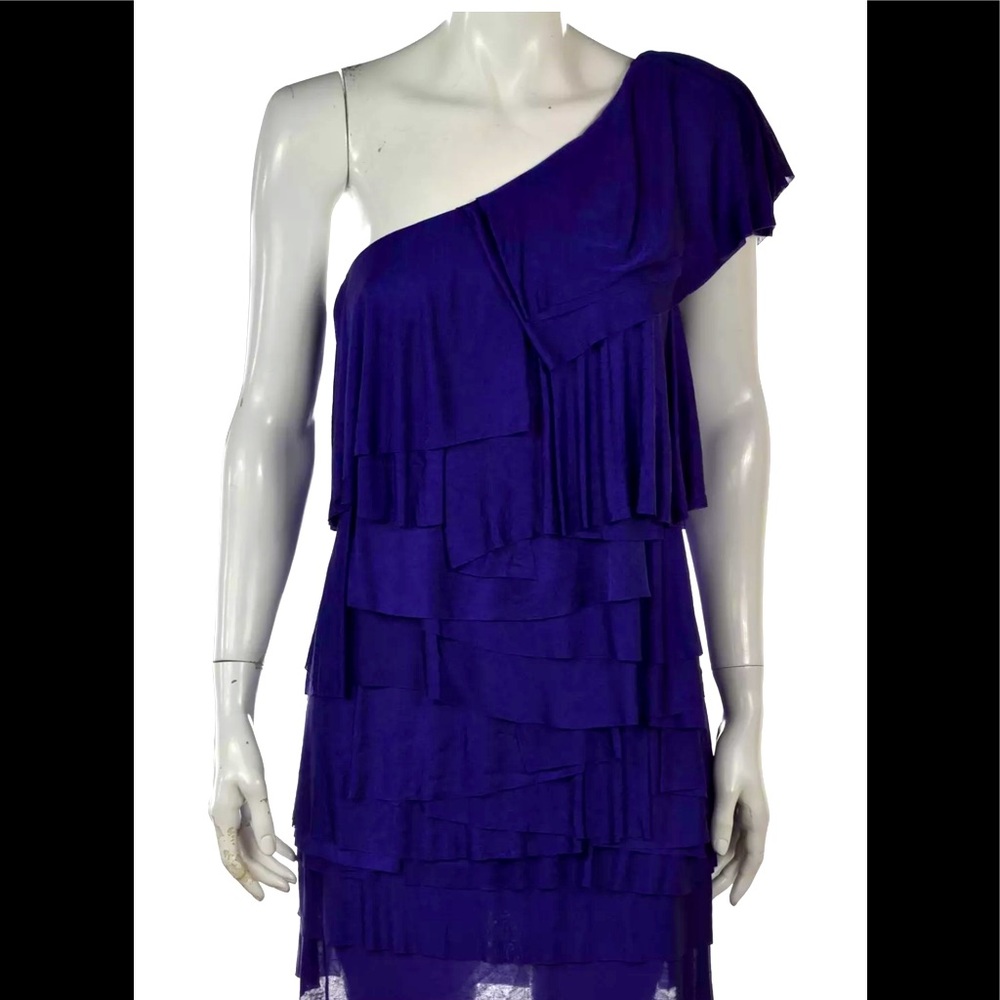 BCBG One Shoulder Ruffle Dress
